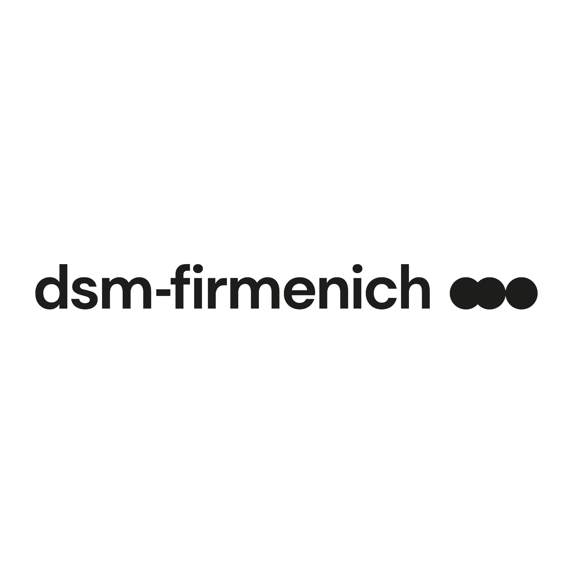 DSM Logo DSM Logo